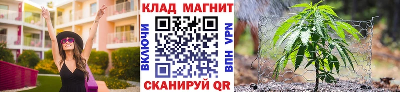 Как найти закладки Заводоуковск Кокаин  Гашиш  Амфетамин  Бошки Шишки  APVP 